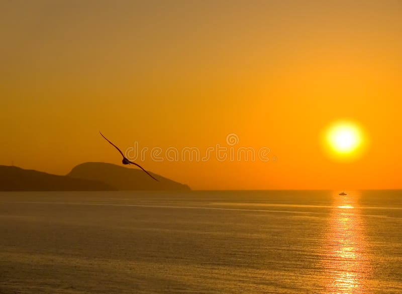 Dawn above the sea. A silhouette of the seagull. The ship on a solar path. Dawn above the sea. A silhouette of the seagull. The ship on a solar path