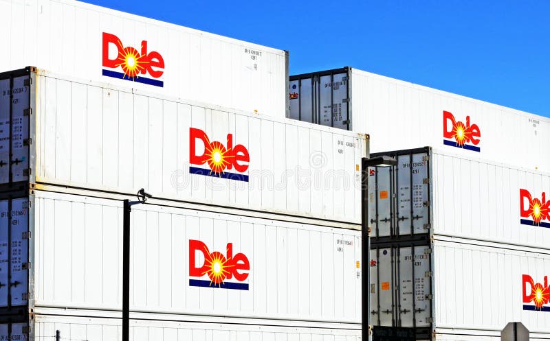 Stacks of Dole Food Company temperature controlled transport containers. Dole is American-based agricultural, multi-national corporation. It is the largest producer of fruits and vegetables in the world. Dole distributes fresh whole fruits, whole vegetables, berries, and fresh-cut vegetables. These products are distributed around in, around and outside of the country in these temperature controlled containers. Stacks of Dole Food Company temperature controlled transport containers. Dole is American-based agricultural, multi-national corporation. It is the largest producer of fruits and vegetables in the world. Dole distributes fresh whole fruits, whole vegetables, berries, and fresh-cut vegetables. These products are distributed around in, around and outside of the country in these temperature controlled containers.