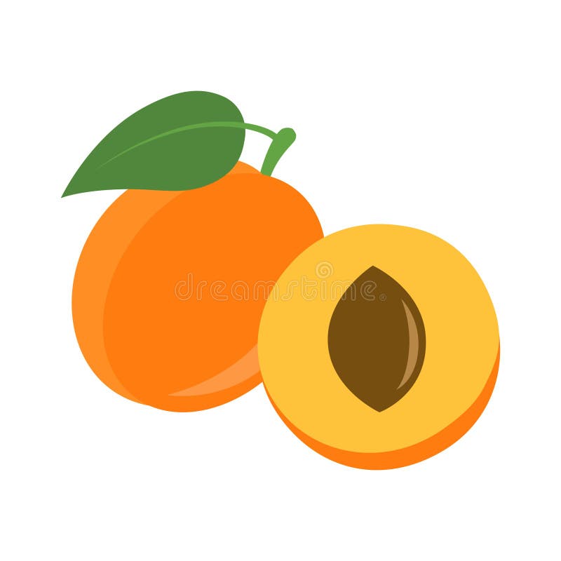 Flat icon fruit apricot with leaf. Vector illustration. Flat icon fruit apricot with leaf. Vector illustration.