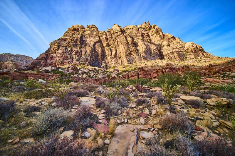 Επίπεδη επιφάνεια Red Rock Canyon Sandstone με βλάστηση σε χαμηλή γωνία στοκ εικόνες