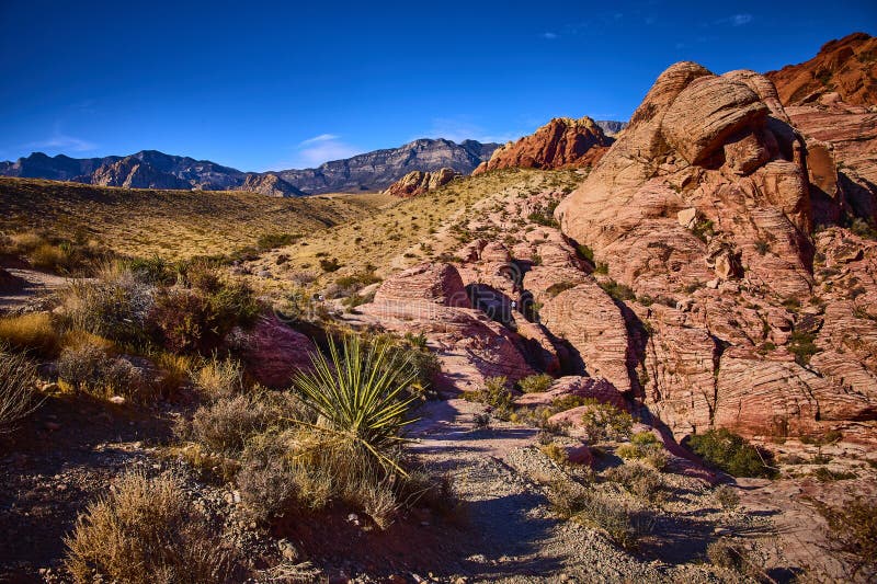 Επίπεδη προβολή Red Rock Canyon στοκ εικόνα με δικαίωμα ελεύθερης χρήσης