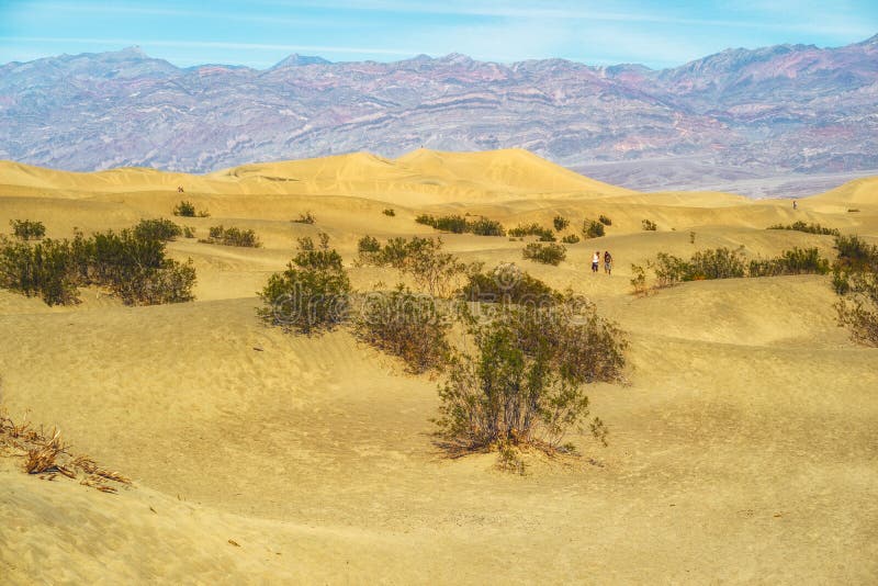 Επίπεδοι αμμόλοφοι άμμου Mesquite Εθνικό πάρκο κοιλάδων θανάτου, Καλιφόρνια στοκ φωτογραφία Επίπεδοι αμμόλοφοι άμμου Mesquite Εθνικό πάρκο κοιλάδων θανάτου, Καλιφόρνια στοκ φωτογραφία