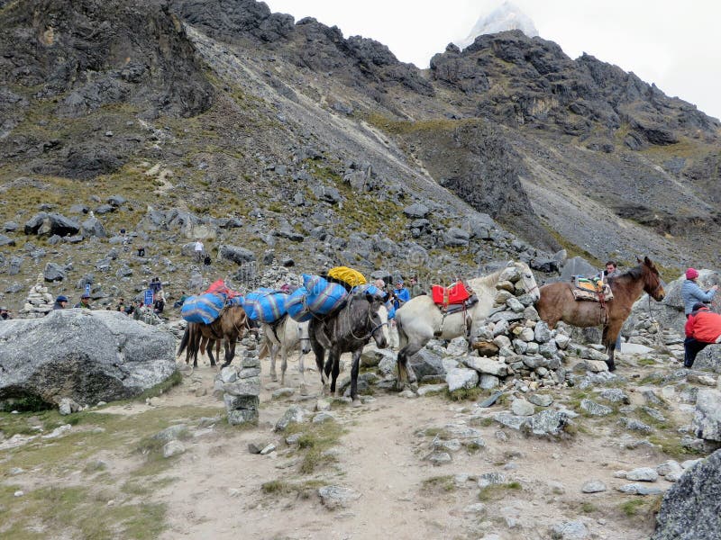 Επαρχία Cusco, Περού - 8 Μαΐου 2016: Μια νέα ομάδα internati στοκ φωτογραφία Επαρχία Cusco, Περού - 8 Μαΐου 2016: Μια νέα ομάδα internati στοκ φωτογραφία