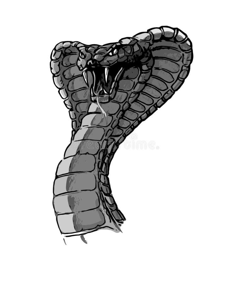 επιθετικό cobra