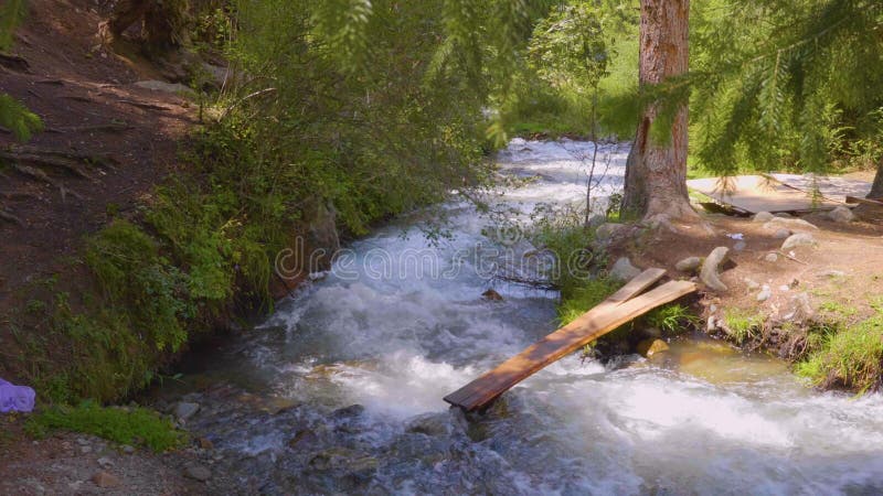 Επικίνδυνη γέφυρα των ξύλινων σανίδων πέρα από το θυελλώδη ποταμό στο πράσινο δάσος