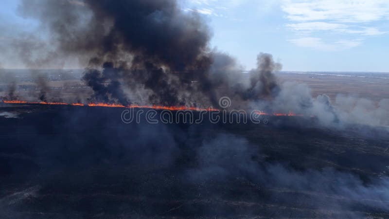 Επικίνδυνος για το περιβάλλον, μεγάλη γρήγορη κίνηση πυρκαγιών από το ξηρό λιβάδι με τον καπνό που πηγαίνει επάνω στον ουρανό κον