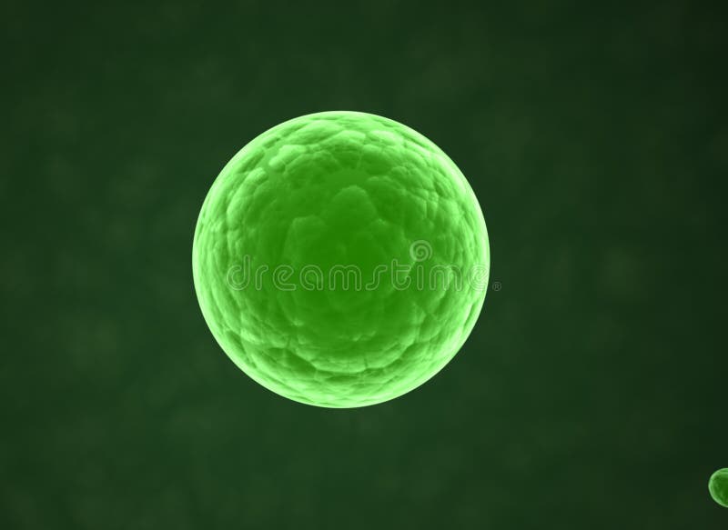 Digital illustration of CELL - science background. Digital illustration of CELL - science background