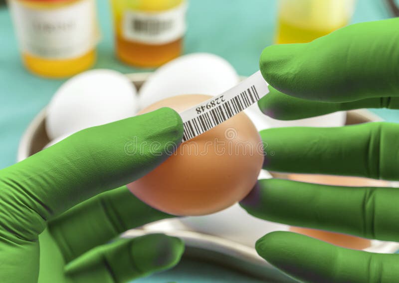 Επιστημονικό εμπορικό σήμα με τα αυγά ετικετών για να εξετάσει σε κακή κατάσταση στο εργαστήριο, κλινικό στοκ εικόνες Επιστημονικό εμπορικό σήμα με τα αυγά ετικετών για να εξετάσει σε κακή κατάσταση στο εργαστήριο, κλινικό στοκ εικόνες
