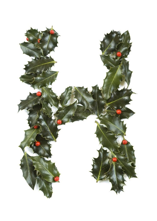 Holly Leaves with berry's in the form of the letter H. Isolated on white. Holly Leaves with berry's in the form of the letter H. Isolated on white.