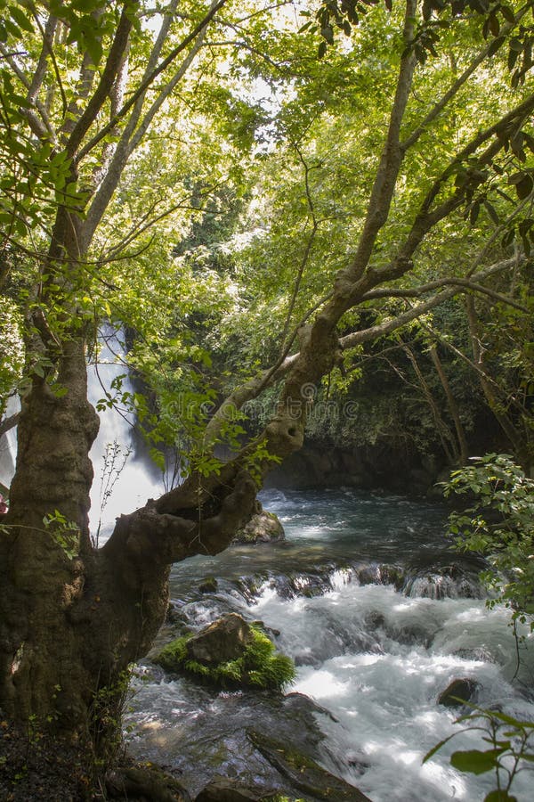 Επιφύλαξη φύσης Banias στο βόρειο Ισραήλ στοκ εικόνες Επιφύλαξη φύσης Banias στο βόρειο Ισραήλ στοκ εικόνες