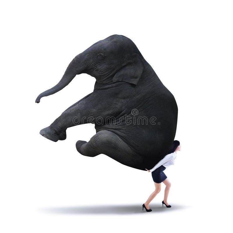 Portrait of businesswoman lifting heavy elephant isolated on white. Portrait of businesswoman lifting heavy elephant isolated on white