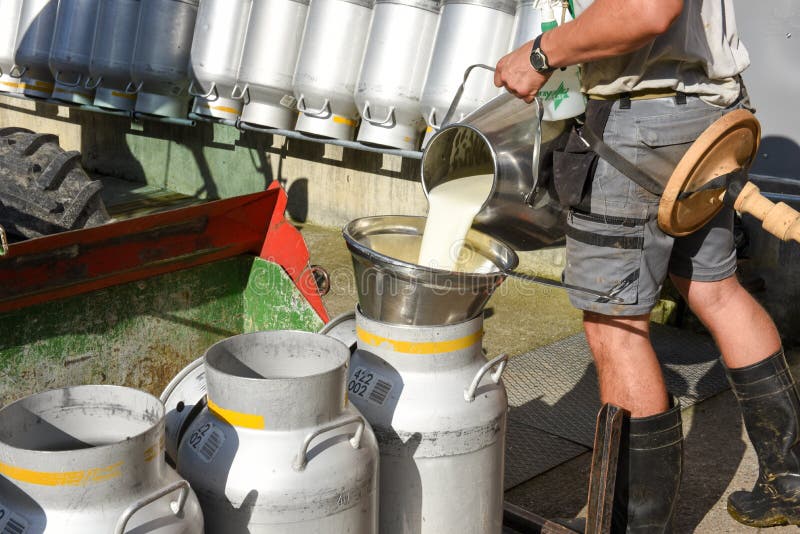 Engelberg, Switzerland - 2 August 2017: worker pouring the milk into tanks at a farmhouse over Engelberg on the Swiss alps. Engelberg, Switzerland - 2 August 2017: worker pouring the milk into tanks at a farmhouse over Engelberg on the Swiss alps