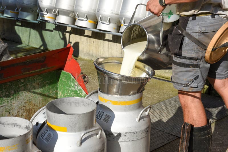 Engelberg, Switzerland - 2 August 2017: worker pouring the milk into tanks at a farmhouse over Engelberg on the Swiss alps. Engelberg, Switzerland - 2 August 2017: worker pouring the milk into tanks at a farmhouse over Engelberg on the Swiss alps