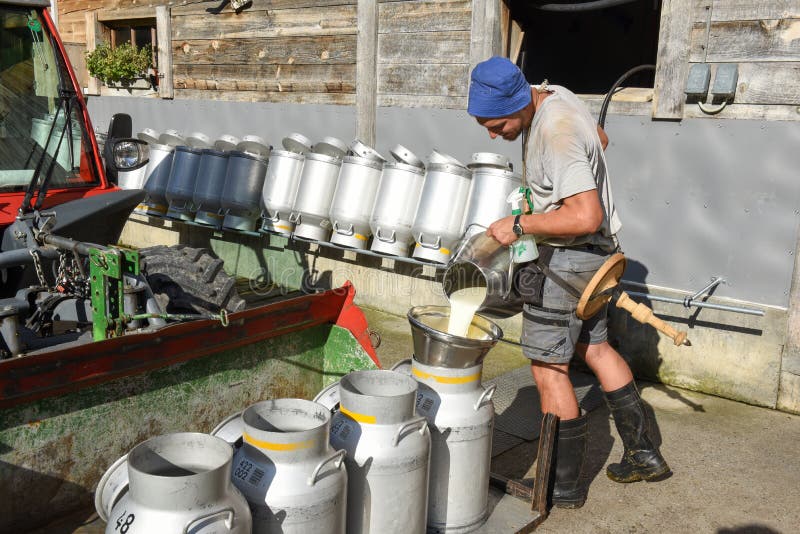 Engelberg, Switzerland - 2 August 2017: worker pouring the milk into tanks at a farmhouse over Engelberg on the Swiss alps. Engelberg, Switzerland - 2 August 2017: worker pouring the milk into tanks at a farmhouse over Engelberg on the Swiss alps