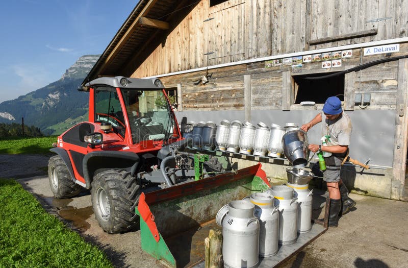 Engelberg, Switzerland - 2 August 2017: worker pouring the milk into tanks at a farmhouse over Engelberg on the Swiss alps. Engelberg, Switzerland - 2 August 2017: worker pouring the milk into tanks at a farmhouse over Engelberg on the Swiss alps