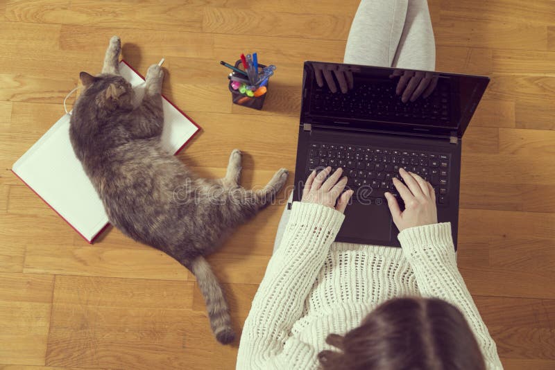 Εργασία Freelancer στοκ εικόνα Εργασία Freelancer στοκ εικόνα