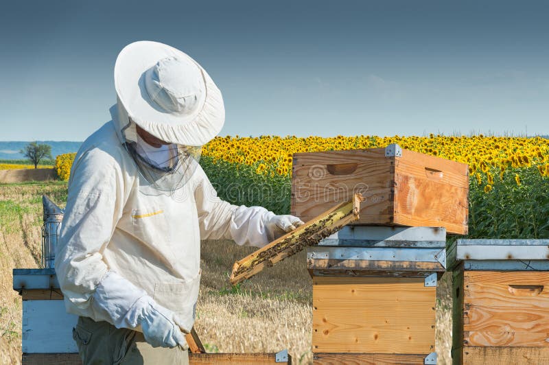 Εργασία μελισσοκόμων