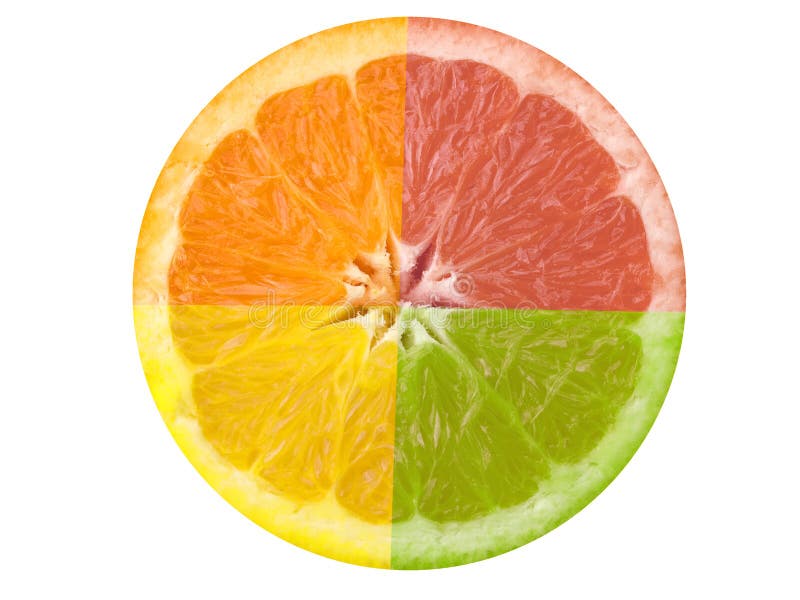 This is a composite shot of four different citrus fruit. This is a composite shot of four different citrus fruit.