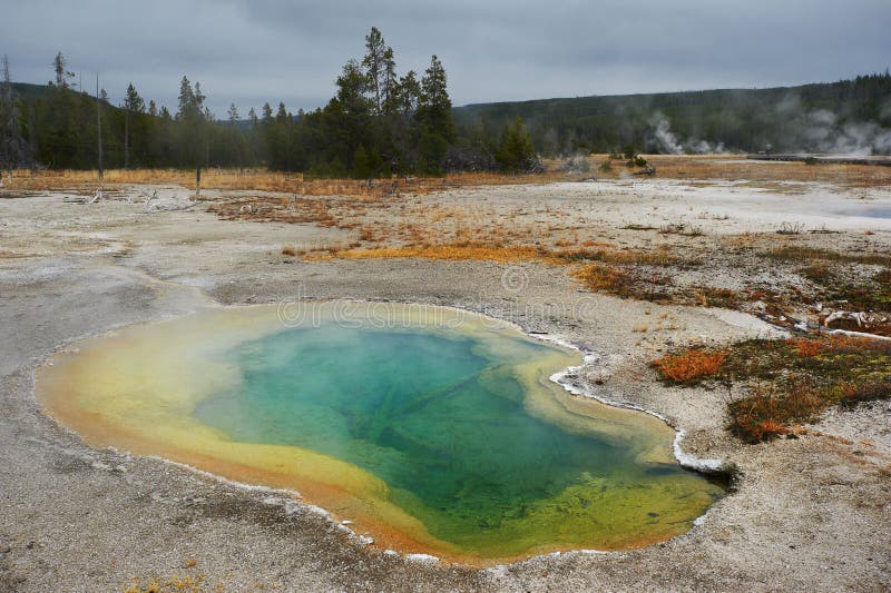 Ευρισκόμενη στη μέση του δρόμου Geyser λεκάνη, Yellowstone, Ουαϊόμινγκ, ΗΠΑ στοκ εικόνες με δικαίωμα ελεύθερης χρήσης