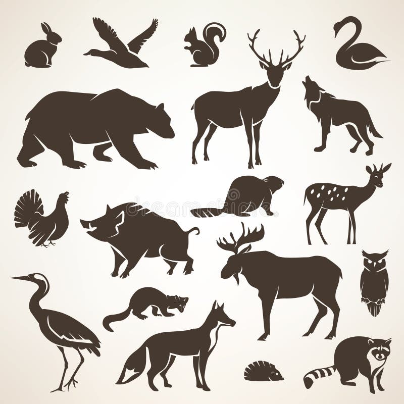European forrest wild animals collection of stylized vector silhouettes. European forrest wild animals collection of stylized vector silhouettes