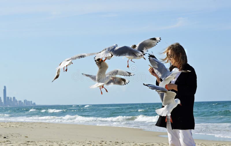 Ευτυχή υγιή ώριμα seagulls χεριών γυναικών ταΐζοντας πουλιά στην παραλία στοκ εικόνες με δικαίωμα ελεύθερης χρήσης Ευτυχή υγιή ώριμα seagulls χεριών γυναικών ταΐζοντας πουλιά στην παραλία στοκ εικόνες με δικαίωμα ελεύθερης χρήσης