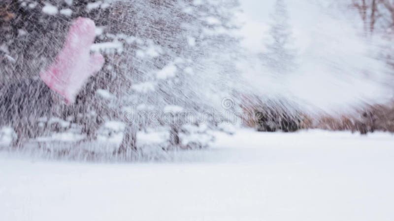 Ευτυχείς φίλοι που παίζουν με το χιόνι το χειμώνα