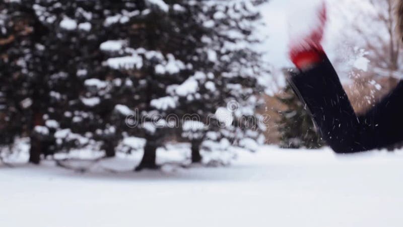 Ευτυχείς φίλοι που παίζουν με το χιόνι το χειμώνα