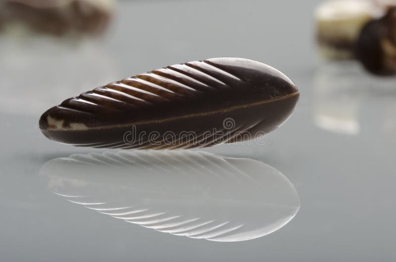 Εύγευστα βελγικά θαλασσινά κοχύλια σοκολατών