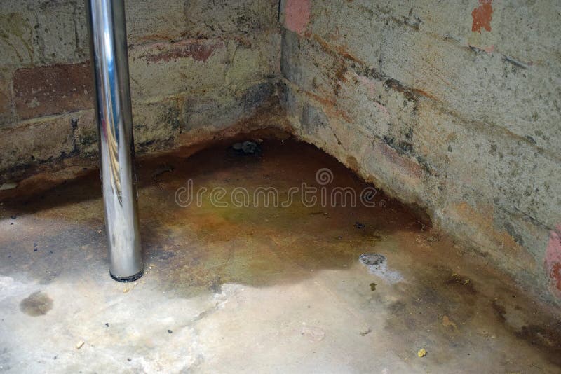 Ζημία και φόρμα νερού στοκ εικόνα