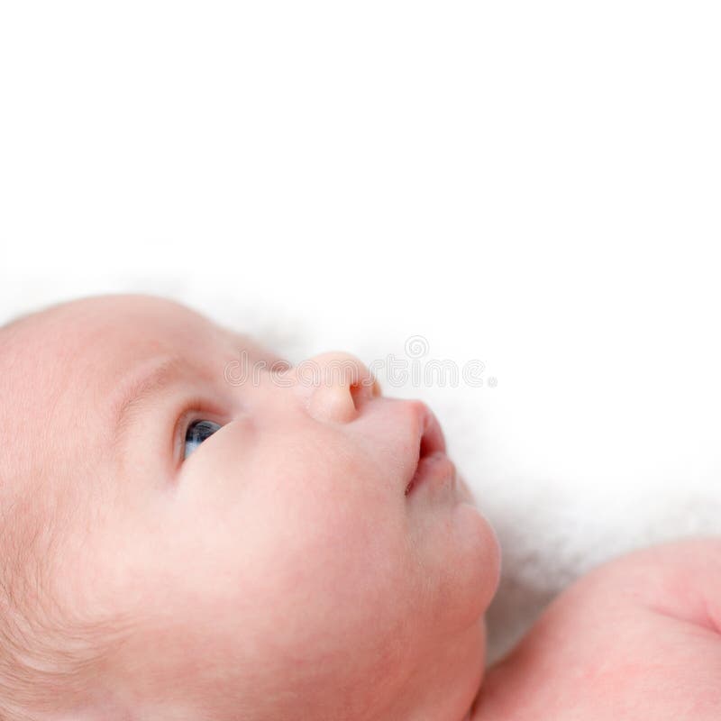 Newborn baby boy gazes up into white copyspace / new life concept. Newborn baby boy gazes up into white copyspace / new life concept