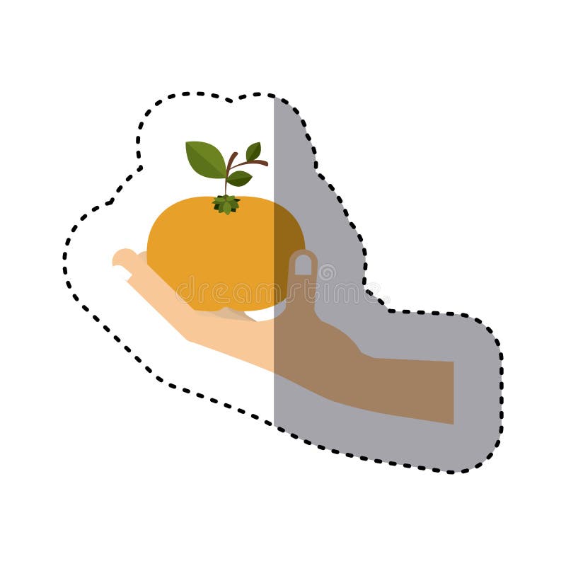 Ζωηρόχρωμη αυτοκόλλητη ετικέττα tangerine εκμετάλλευσης χεριών των φρούτων διανυσματική απεικόνιση