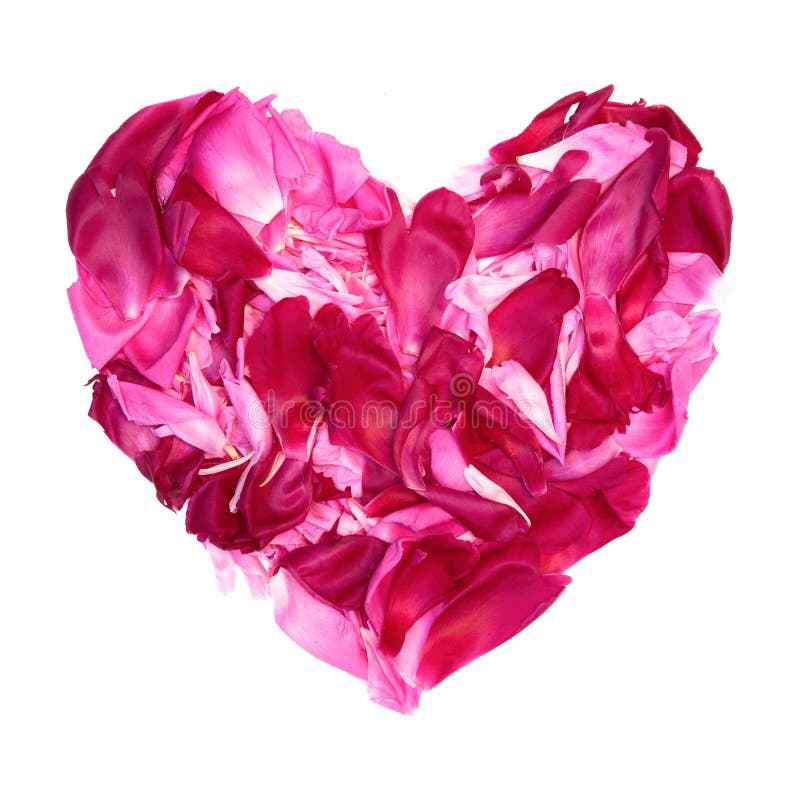 Ζωηρόχρωμη καρδιά των peony λουλουδιών πετάλων στοκ φωτογραφίες