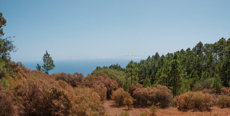 Ζωηρόχρωμο πανόραμα τοπίων φθινοπώρου δασικό, διάστημα αντιγράφων μπλε ουρανού στοκ φωτογραφία με δικαίωμα ελεύθερης χρήσης Ζωηρόχρωμο πανόραμα τοπίων φθινοπώρου δασικό, διάστημα αντιγράφων μπλε ουρανού στοκ φωτογραφία με δικαίωμα ελεύθερης χρήσης