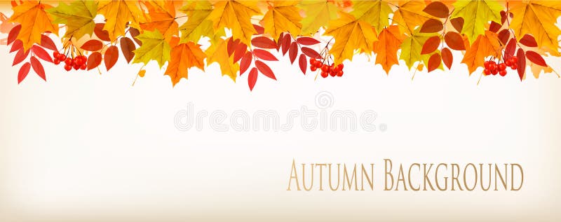 Πανοραμική Φθινοπωρινή Φύση με Πολύχρωμα Φύλλα στο Φόντο. ελεύθερη απεικόνιση δικαιώματος