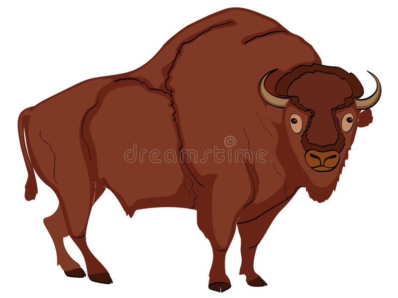 Animal artiodactyl, bison, cow vector. Comic book style imitation, object on white background. Animal artiodactyl, bison, cow vector. Comic book style imitation, object on white background.
