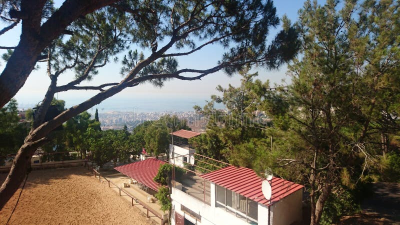Η άποψη μέσω των δέντρων στοκ φωτογραφία με δικαίωμα ελεύθερης χρήσης Η άποψη μέσω των δέντρων στοκ φωτογραφία με δικαίωμα ελεύθερης χρήσης