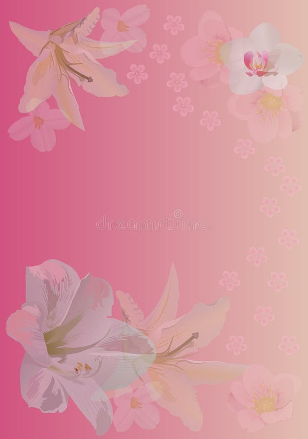 η ανασκόπηση ανθίζει orchid κρίν&ome διανυσματική απεικόνιση η ανασκόπηση ανθίζει orchid κρίν&ome διανυσματική απεικόνιση