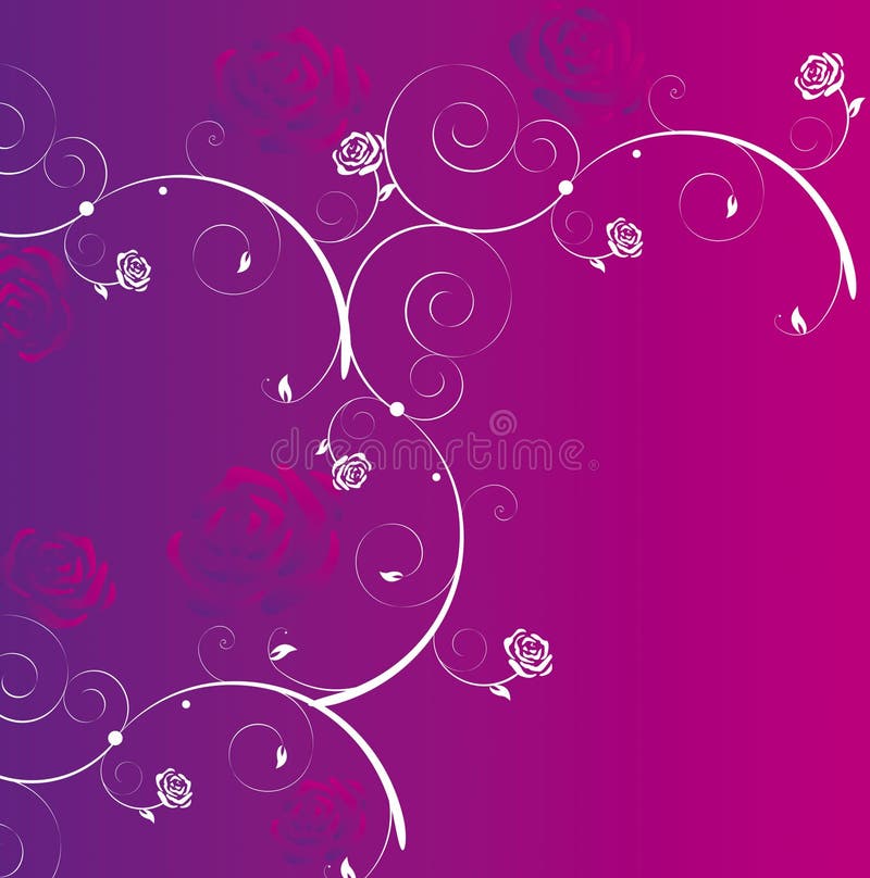 An explosion of rose on a violet background. An explosion of rose on a violet background