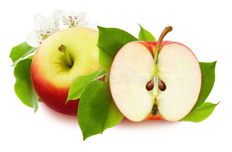Η απομονωμένη Apple Ολόκληρη η ώριμη κόκκινη Apple και μισά πράσινων φρέσκα φύλλα περικοπών και και λουλούδι που απομονώνονται στ στοκ φωτογραφία με δικαίωμα ελεύθερης χρήσης