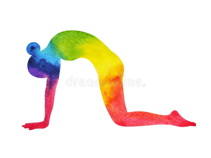 Cat Pose Yoga, 7 color chakra watercolor painting pattern, hand drawn illustration design, Marjariasana. Cat Pose Yoga, 7 color chakra watercolor painting pattern, hand drawn illustration design, Marjariasana