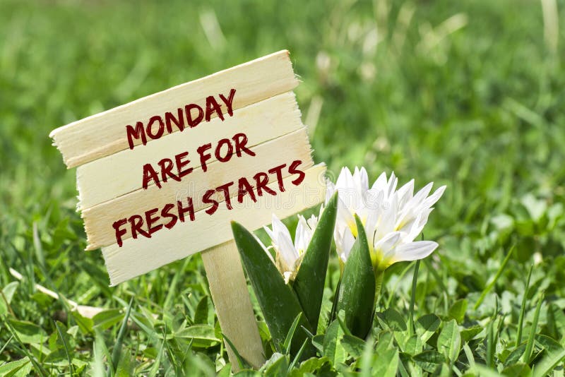 Monday are for fresh starts on wooden sign in garden with white spring flower. Monday are for fresh starts on wooden sign in garden with white spring flower