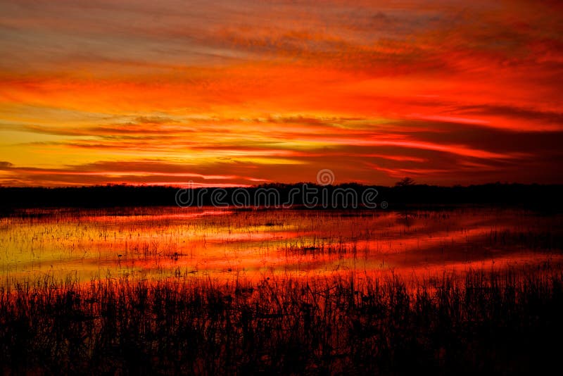 Ηλιοβασίλεμα Everglades στοκ φωτογραφίες Ηλιοβασίλεμα Everglades στοκ φωτογραφίες