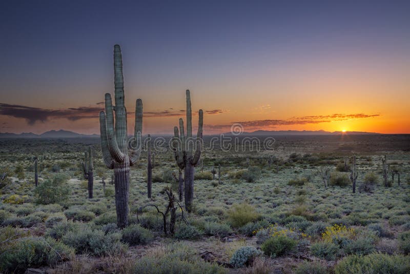 Sunset over the Phoenix Valley in Arizona seen from Silly Mountain State Park. Sunset over the Phoenix Valley in Arizona seen from Silly Mountain State Park.