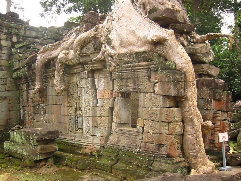 η Καμπότζη ναός angkor wat στοκ εικόνες η Καμπότζη ναός angkor wat στοκ εικόνες