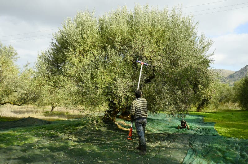 η Κρήτη Ελλάδα προσγειώθηκε τον τρέχοντα ήλιο ακτίνων αεροπλάνων στοκ εικόνες