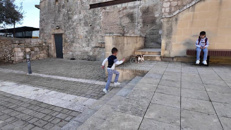 Η Μίνα Μάλτα Ένα παιδί που παίζει με αδέσποτη γάτα στην οχυρωμένη πόλη απόθεμα βίντεο