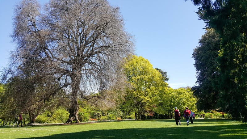 Η ομάδα ταξιδιωτών απολαμβάνει christchurch το βοτανικό κήπο στοκ εικόνες με δικαίωμα ελεύθερης χρήσης Η ομάδα ταξιδιωτών απολαμβάνει christchurch το βοτανικό κήπο στοκ εικόνες με δικαίωμα ελεύθερης χρήσης