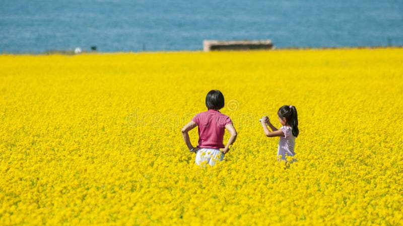 η πιο όμορφη λίμνη qinghai στοκ εικόνες