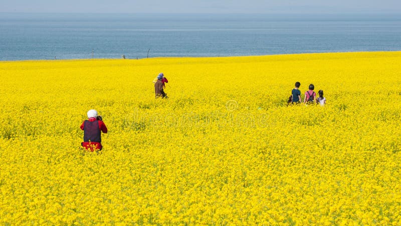 η πιο όμορφη λίμνη qinghai στοκ φωτογραφία με δικαίωμα ελεύθερης χρήσης