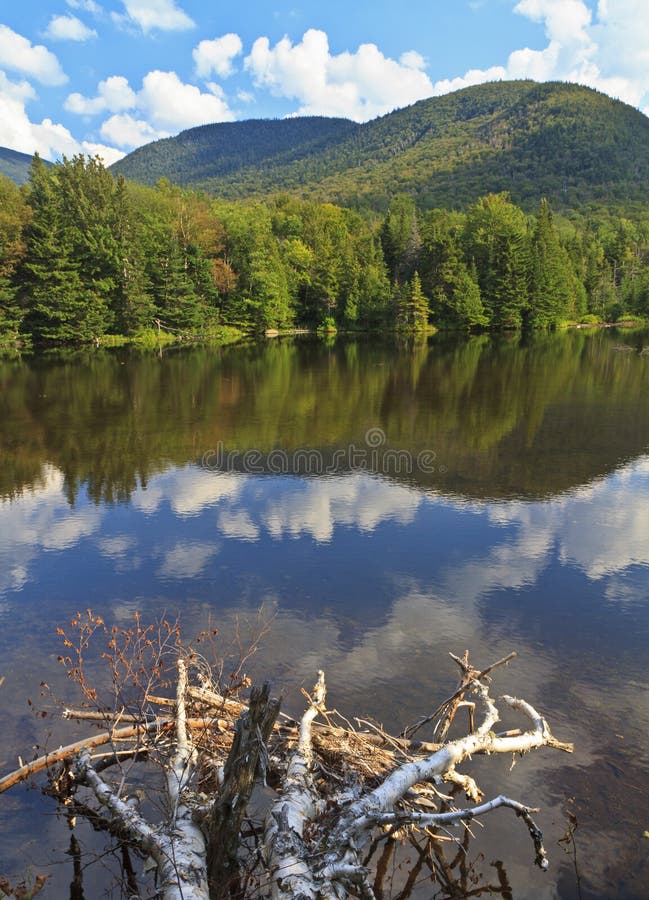 Pehlps Mountain reflected in Marcy Dam Pond in the High Peaks region of the Adirondack Mountains of New York. Pehlps Mountain reflected in Marcy Dam Pond in the High Peaks region of the Adirondack Mountains of New York
